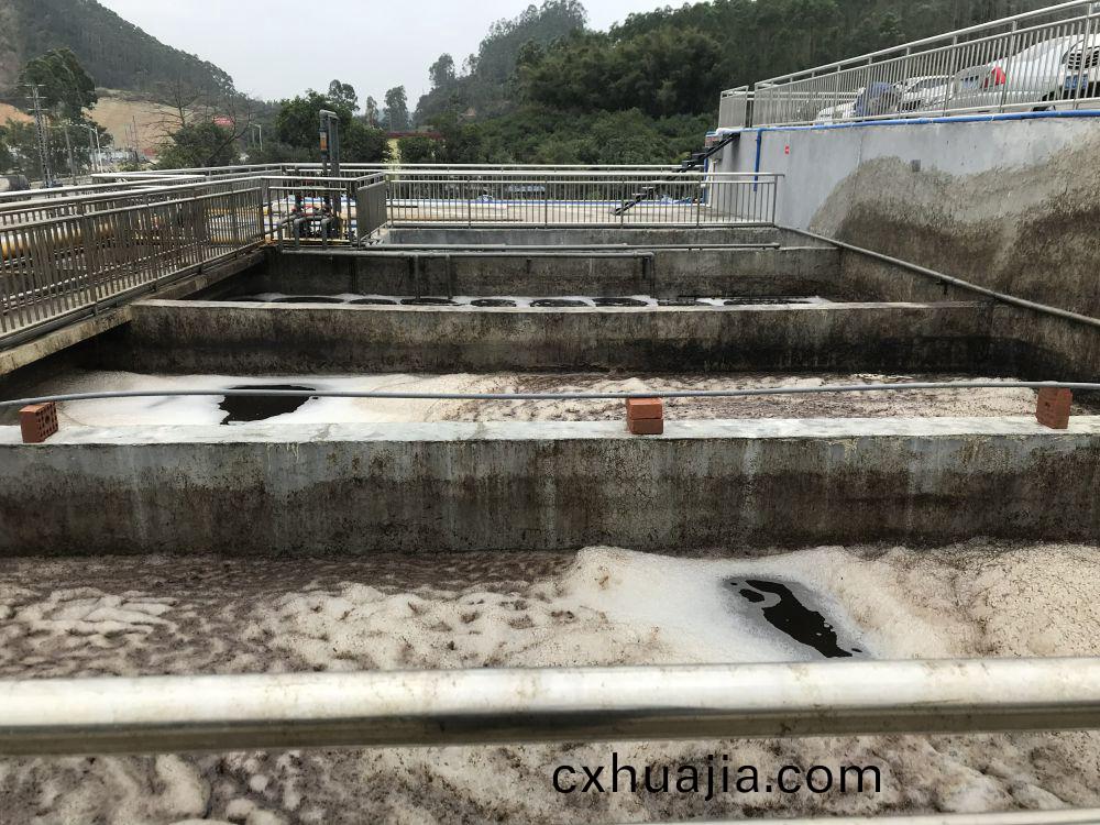 某某(mou)屠(tu)宰(zai)場(chang)項(xiang)目(mu)——500t屠(tu)宰廢(fei)水(shui)處(chu)理係(xi)統