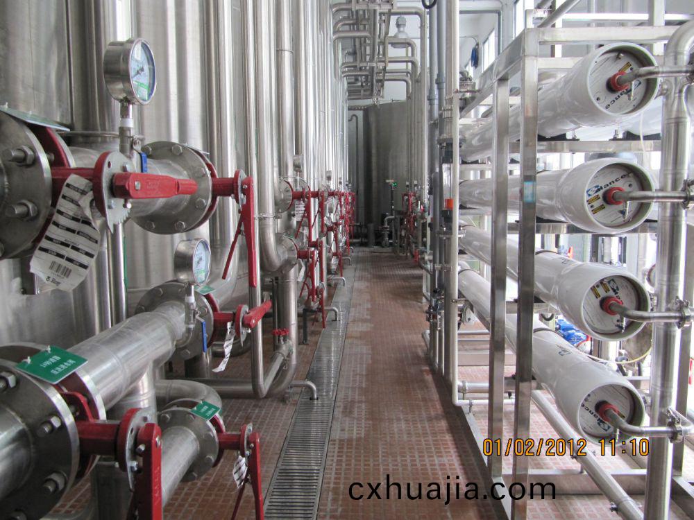 飲(yin)料廠20m3ph純水(shui)係統